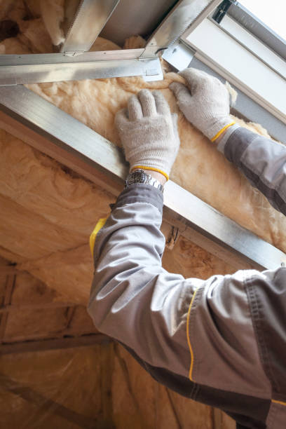 Trusted David City, NE Insulation Contractor Experts