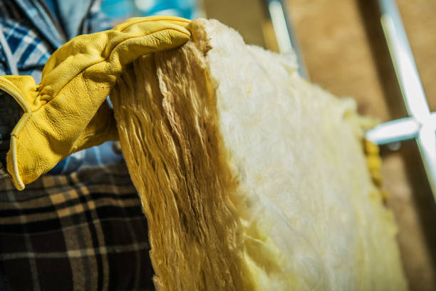 Best Commercial Insulation Contractor  in David City, NE