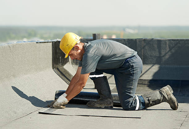 Best Insulation Inspection Services  in David City, NE